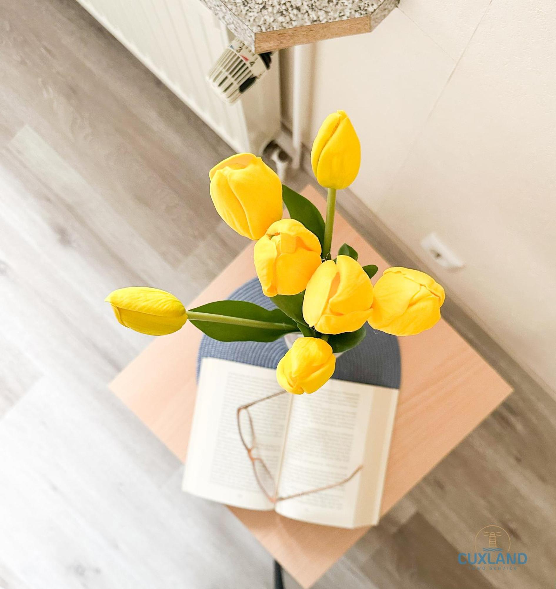 Ferienhaus Bungalow Nahe Kurpark Doese คุกซ์ฮาเวน ภายนอก รูปภาพ
